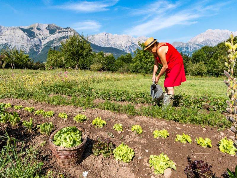 Chambres d'hôtes Clark saint bonnet en champsaur 05500 N° 3