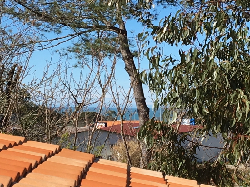 Chambres d'hôtes Pelle bidart 64210 N° 11