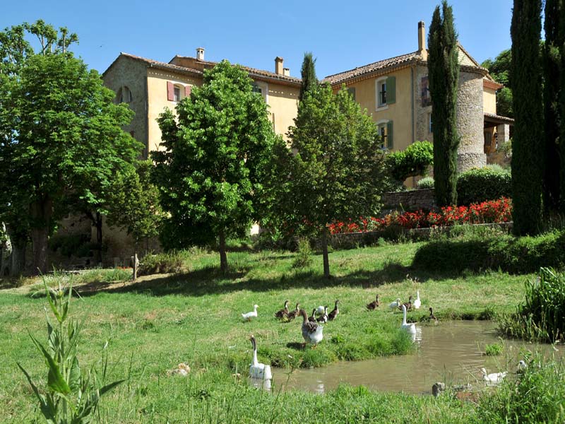 Chambres d'hôtes Fussler bras 83149 N° 4