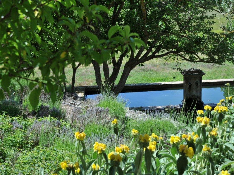 Chambres d'hôtes Fussler bras 83149 N° 13