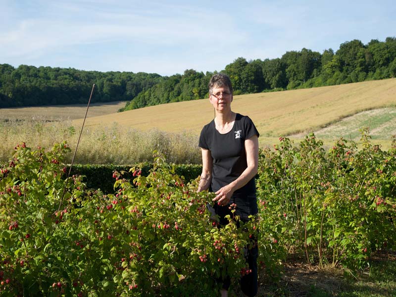 Chambres d'hôtes Périn maraye en othe 10160 N° 8