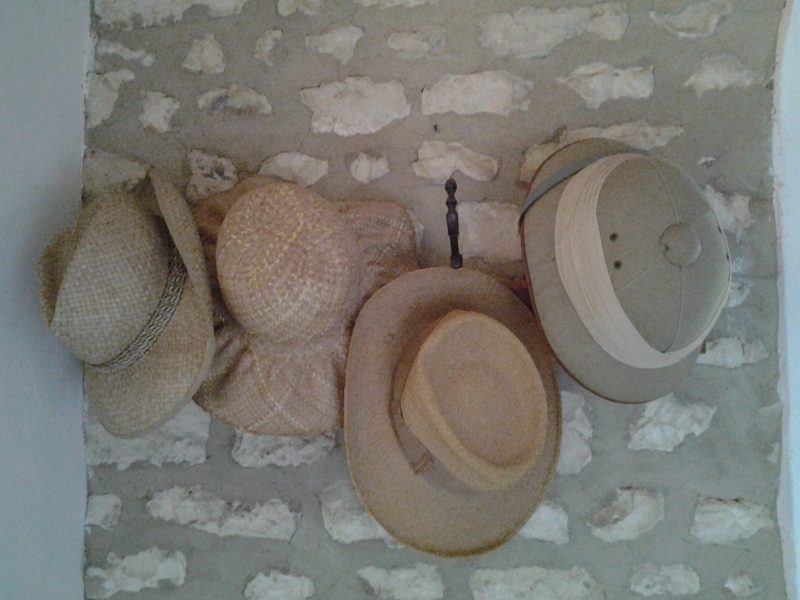 Chambres d'hôtes de Wellenstein lindry 89240 N° 2