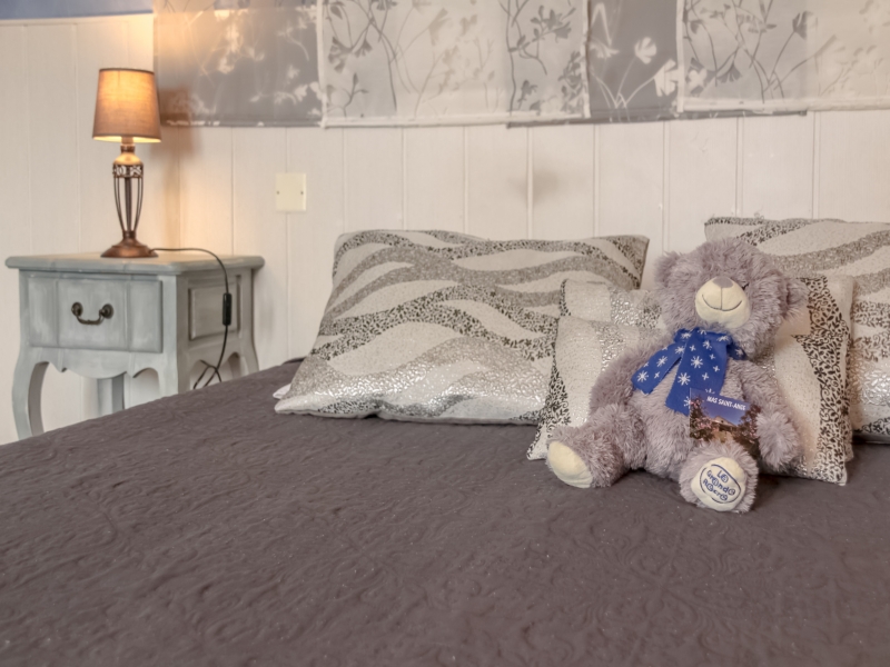 Chambres d'hôtes Gayet lunel 34400 N° 13