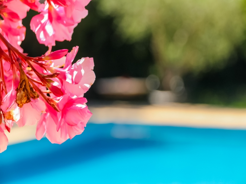 Chambres d'hôtes Gayet lunel 34400 N° 18