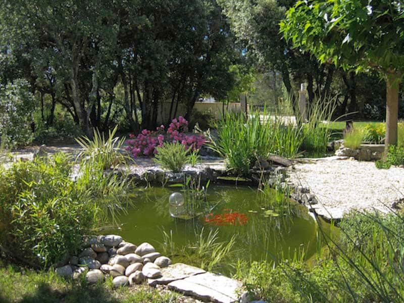 Chambres d'hôtes André saint mathieu de treviers 34270 N° 16