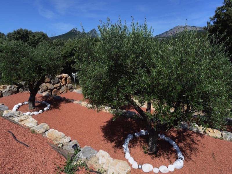 Chambres d'hôtes André saint mathieu de treviers 34270 N° 17