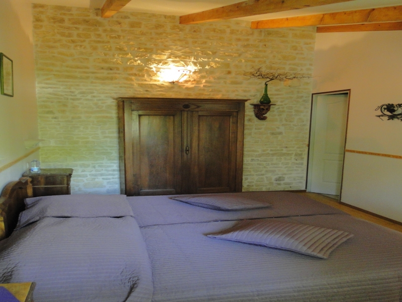 Chambres d'hôtes Camarzana andilly 17230 N° 4