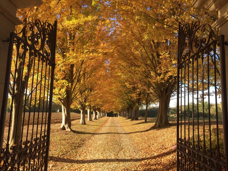 Chambres d'hôtes Tricon isle de noe 32300 N° 6