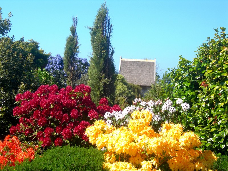 Chambres d'hôtes Le Tarnec lanildut 29840 N° 4