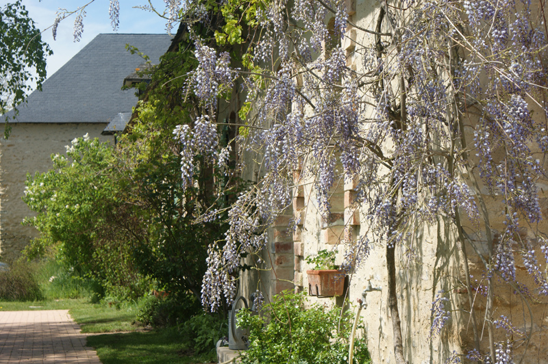 Chambres d'hôtes Chabrier daumeray 49640 N° 4