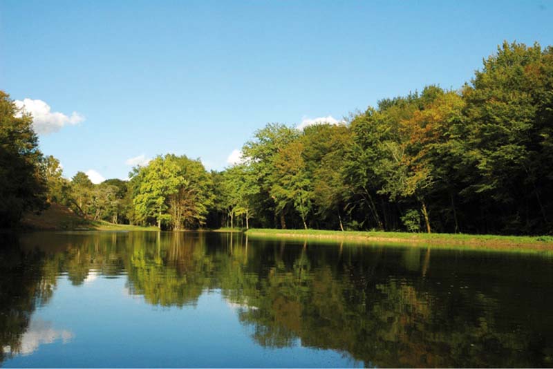 Chambres d'hôtes Fontaine chalais 36370 N° 2