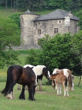 Chambres d'hôtes de Chabanolles retournac 43130 N° 1