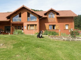 Chambres d'hôtes Blaison tendon 88460 N° 1