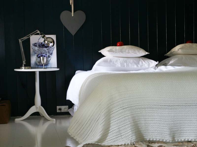 Chambres d'hôtes Slik tours sur meymont 63590 N° 2