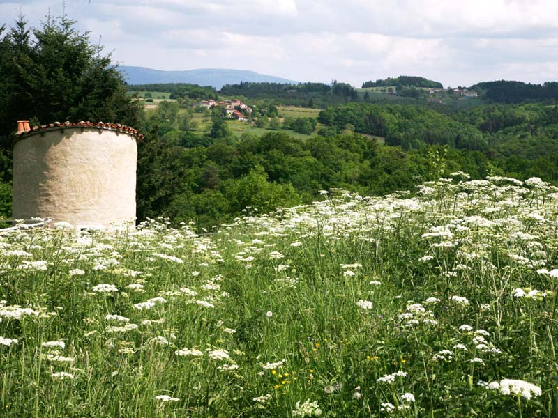 Chambres d'hôtes Slik tours sur meymont 63590 N° 4