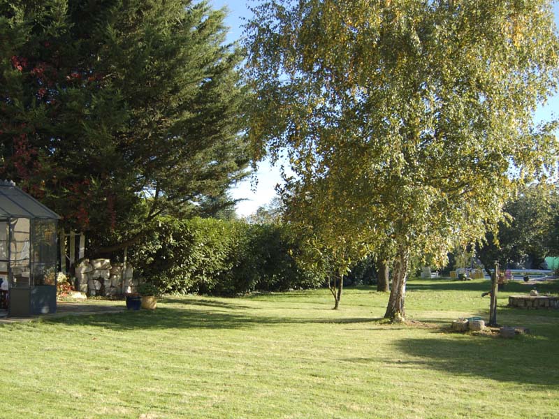 Chambres d'hôtes Thiébaut saint genouph 37510 N° 4