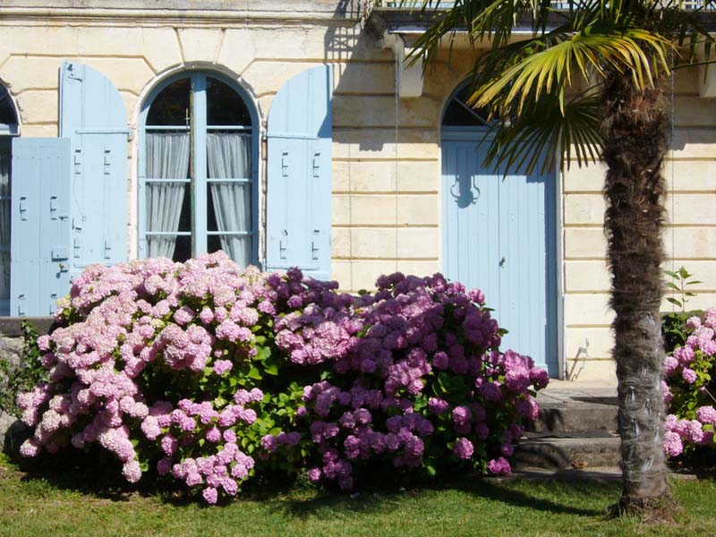 Chambres d'hôtes Desnos barsac 33720 N° 4