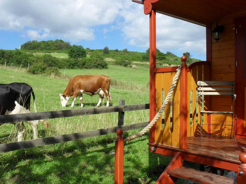 Chambres d'hôtes Perreton palogneux 42990 N° 6