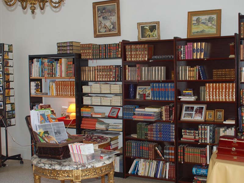 Chambres d'hôtes Chalet olliergues 63880 N° 3