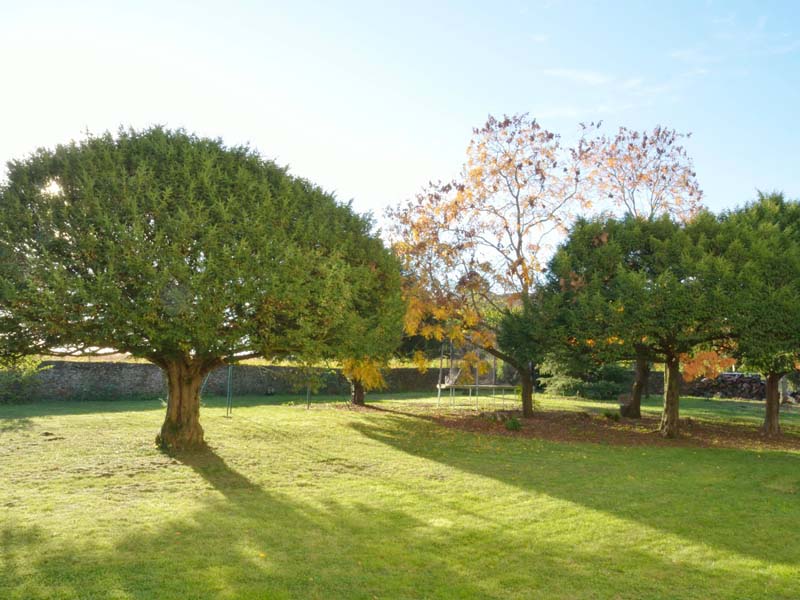 Chambres d'hôtes Cygan marcy 69480 N° 3