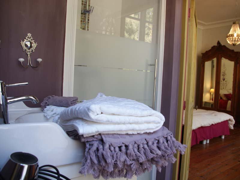 Chambres d'hôtes Blanc-Gillier fontenay le comte 85200 N° 7