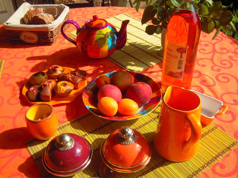 Chambres d'hôtes Bonhomme-Faivre saint jean des vignes 69380 N° 6