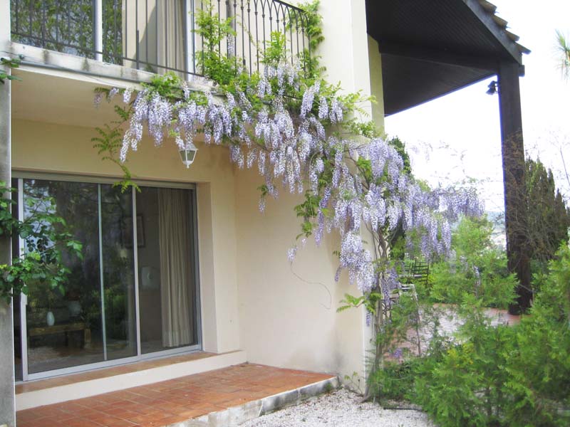 Chambres d'hôtes Belieres clermont l herault 34800 N° 3