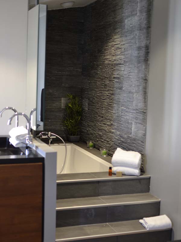 Chambres d'hôtes Nicolaux clermont ferrand 63000 N° 8