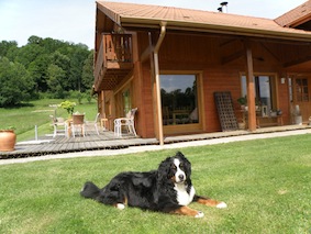 Chambres d'hôtes Blaison tendon 88460 N° 7